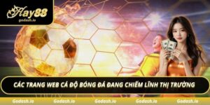 Các Trang Web Cá Độ Bóng Đá