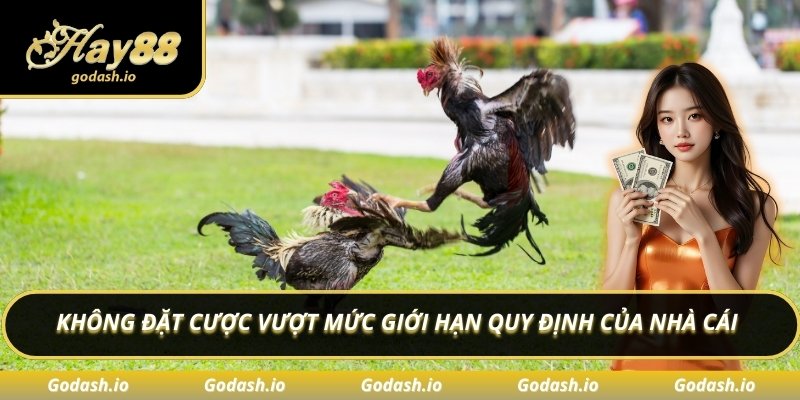 Không đặt cược vượt mức giới hạn quy định của nhà cái