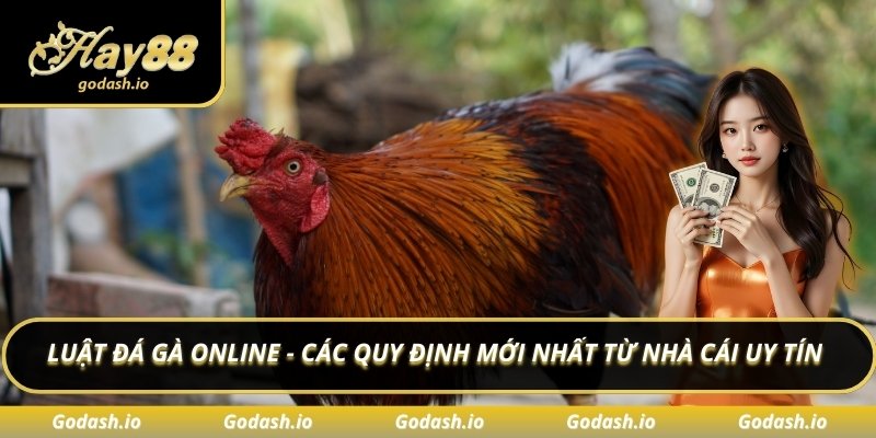 Luật đá gà online