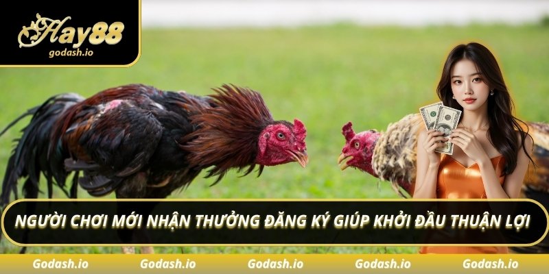 Người chơi mới nhận thưởng đăng ký giúp khởi đầu thuận lợi