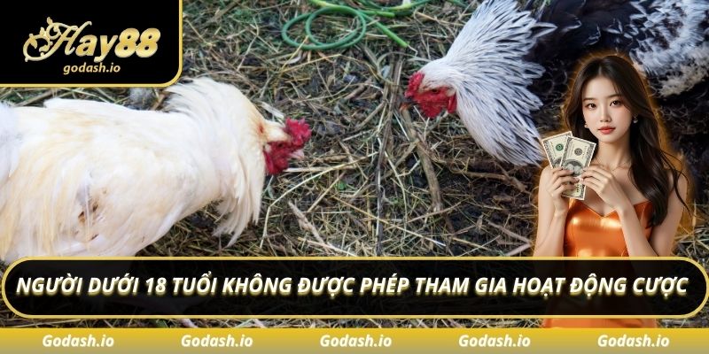 Người dưới 18 tuổi không được phép tham gia hoạt động cược