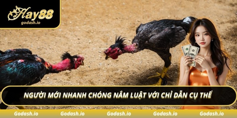 Người mới nhanh chóng nắm luật với chỉ dẫn cụ thể