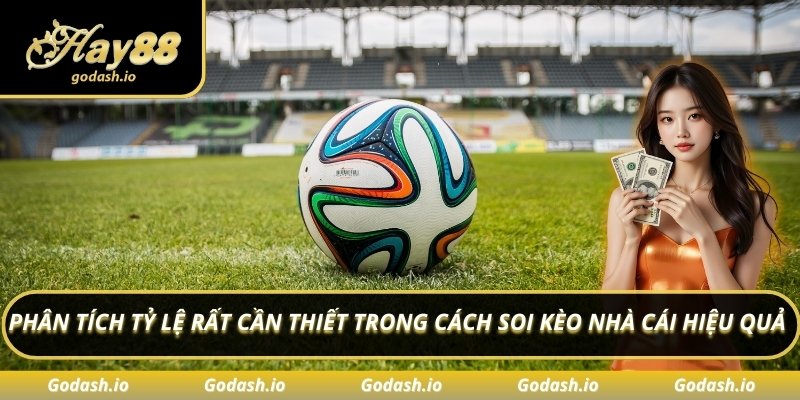 Phân tích tỷ lệ rất cần thiết trong cách soi kèo nhà cái hiệu quả
