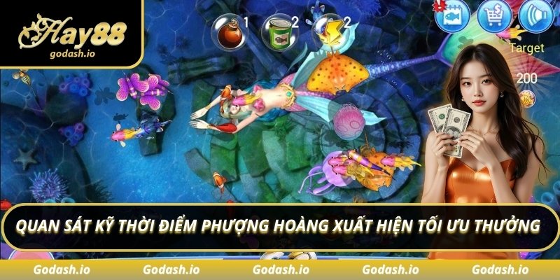 Quan sát kỹ thời điểm phượng hoàng xuất hiện tối ưu thưởng